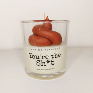 YOU'RE THE SH*T CANDLE