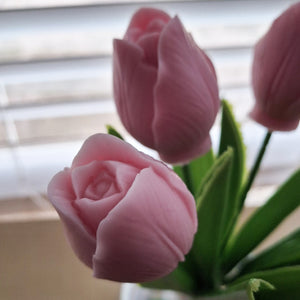 TULIP MELTS BOXED