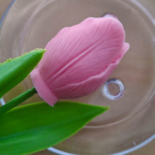 TULIP MELTS BOXED