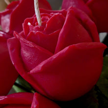 SINGLE ROSE