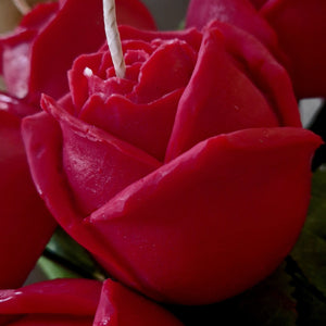 SINGLE ROSE