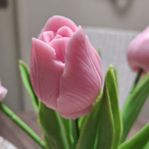 TULIP MELTS BOXED