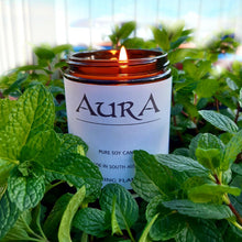 AURA soy candle - vanilla bean and peppermint essential oils - flaming flamingo 