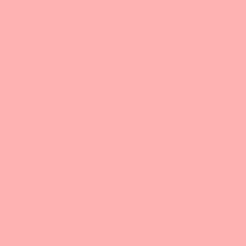 SOY CANDLE - flaming flamingo 